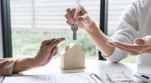 What are the Alternative Options for Section 24