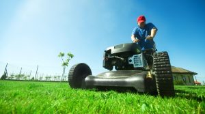 Best Practices for Mowing a Wet Lawn