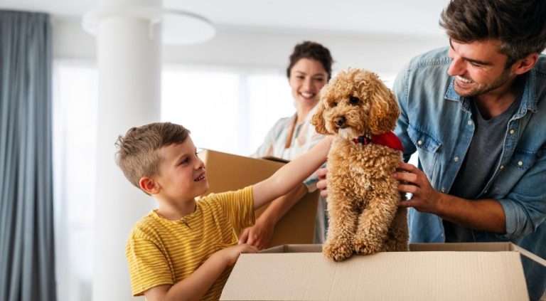 Can Landlords Refuse Pets in the UK