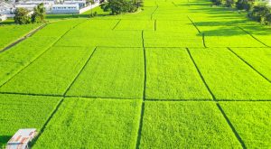 How Big is an Acre in Different Units