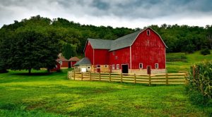 How to Resolving Boundary Disputes Using the 7 Year Rule