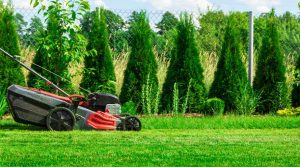 Lawn Care in Wet Weather