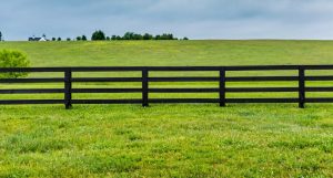 Legal Boundaries: What Does UK Law Say About Fences