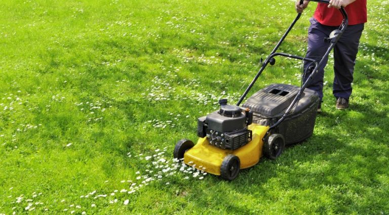 Legal Time to Mow Lawn UK