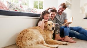 Overview of Pets in Rental Properties in the UK