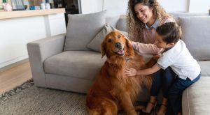 Reasons Landlords Can Refuse Pets in the UK