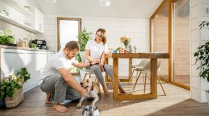 The Future of Pets in UK Rental Properties