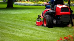 Tips to Prevent Lawn Damage When Wet