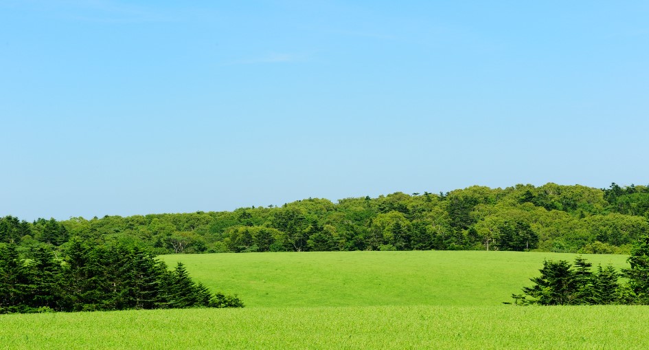 How Big is an Acre? Simple Guide to Acre Measurements and Comparisons