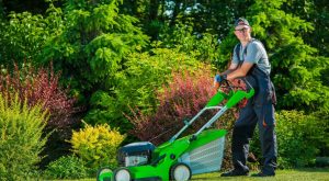 Why You Should Be Cautious When Mowing Wet Grass