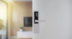 Why Frameless Doors Speak the Language of Minimalism