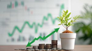 Risk Considerations and Liquidity